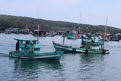 Khắc phục "thẻ vàng" IUU: An Giang xử lý nghiêm tàu cá vi phạm