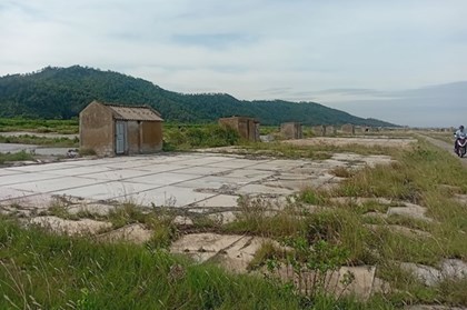 Giá muối giảm sâu, diêm dân Thanh Hóa bỏ ruộng tìm kế sinh nhai