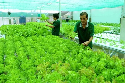An Giang mở lối cho nông nghiệp sinh thái bền vững