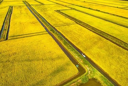 Nông nghiệp và môi trường trên hành trình kiến tạo kinh tế xanh