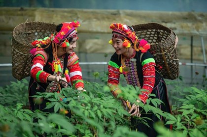 Sắp diễn ra Ngày hội sản phẩm vùng đồng bào dân tộc thiểu số và miền núi phía Bắc