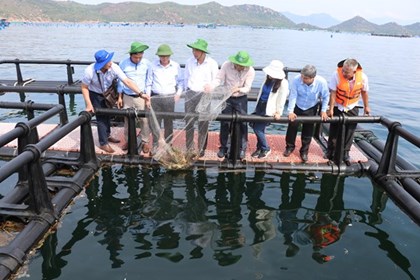 Nuôi biển công nghiệp vươn tầm kinh tế xanh - Bài cuối: Hoàn thiện thể chế, bứt phá công nghệ