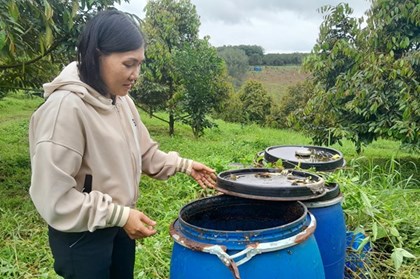 Vì sao mô hình liên kết nông nghiệp hữu cơ mang lại hiệu quả cao?