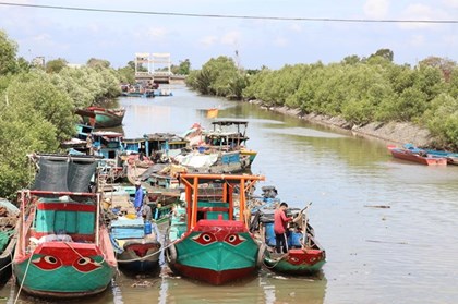 Đồng Tháp chuyển xanh trong nghề khai thác hải sản Đồng Tháp chuyển xanh trong nghề khai thác hải sản