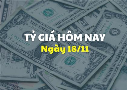 Tỷ giá hôm nay 18/11: Đồng USD tăng giá, NDT giảm tiếp