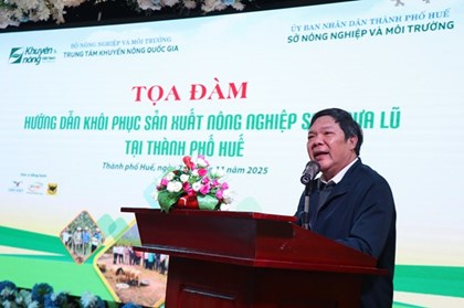 Huế hướng dẫn khôi phục sản xuất nông nghiệp sau mưa lũ Huế hướng dẫn khôi phục sản xuất nông nghiệp sau mưa lũ
