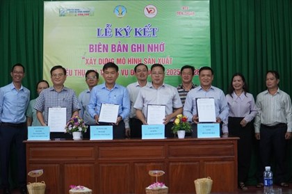 Xây dựng vùng nguyên liệu cho thương hiệu “Gạo Cần Thơ” Xây dựng vùng nguyên liệu cho thương hiệu “Gạo Cần Thơ”