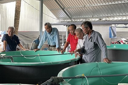 Hướng đi mới cho nghề cá chình giống ở Đồng Tháp