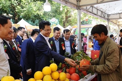 Hưng Yên: Đưa đặc sản cam đến gần hơn với người tiêu dùng Thủ đô