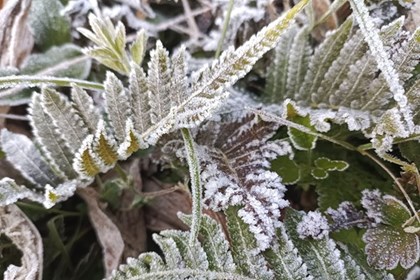 Vùng núi cao Bắc Bộ có thể xuất hiện băng giá, sương muối