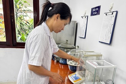 Viện Nha Hố được chỉ định thử nghiệm chất lượng hạt giống cây trồng