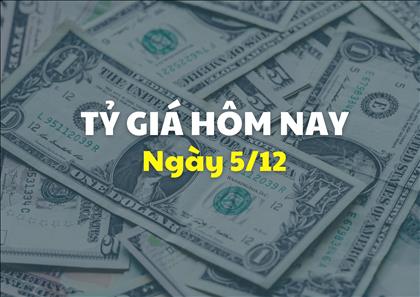 Tỷ giá hôm nay 5/12: Giá USD và NDT cùng đi xuống
