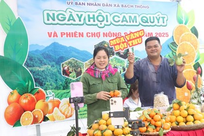 Thái Nguyên mở Ngày hội cam, quýt, thúc đẩy nông sản vào chuỗi giá trị