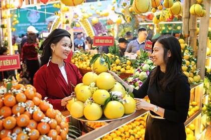Lễ hội trái cây Bắc Ninh 2025 thúc đẩy tiêu thụ nông sản số
