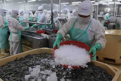 Xuất khẩu nông, lâm, thủy sản lập kỷ lục mới