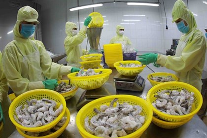 Xuất khẩu thuỷ sản có thể lập kỷ lục mới trong năm 2025