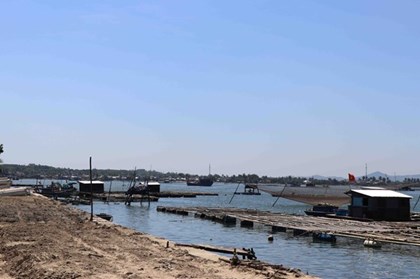 Đà Nẵng tiếp sức cho người dân khôi phục nghề nuôi trồng thủy sản