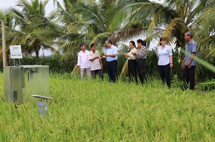 Hơn 20 tỷ đồng "kích hoạt" mô hình hợp tác xã điển hình tại Vĩnh Long