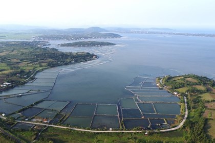 Chủ động ứng phó xâm nhập mặn ở Đồng bằng sông Cửu Long và hạn hán, cháy rừng ở khu vực Nam Trung Bộ và Đông Nam Bộ