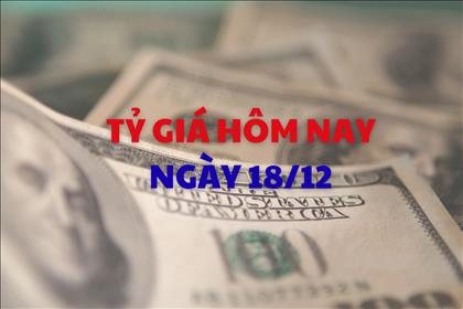 Tỷ giá hôm nay 18/12: Giá USD tăng tiếp, giá NDT giảm nhẹ