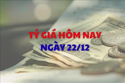 Tỷ giá hôm nay 22/12: Giá bán USD và NDT biến động nhẹ