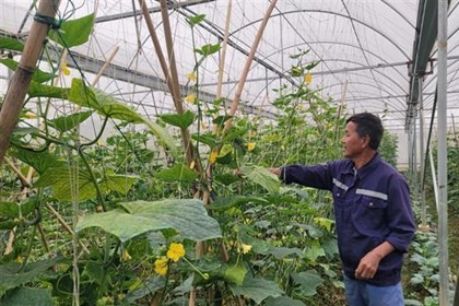 Chuyển đổi số giúp nông nghiệp Hà Nội bứt phá