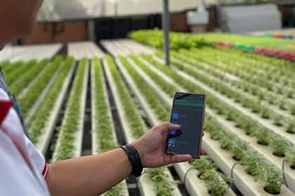 Hoàn thiện 25 cơ sở dữ liệu, ngành nông nghiệp và môi trường tăng tốc chuyển đổi số Hoàn thiện 25 cơ sở dữ liệu, ngành nông nghiệp và môi trường tăng tốc chuyển đổi số