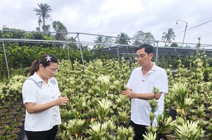 Từ "được mùa mất giá” đến làm nông theo nhu cầu thị trường