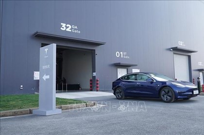 Mỹ điều tra về thiết kế cửa xe điện Tesla
