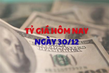 Tỷ giá hôm nay 30/12: Giá USD và NDT điều chỉnh nhẹ