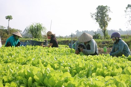 Chuyển đổi số mở không gian tăng trưởng mới cho nông nghiệp xanh