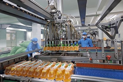 Kinh tế kiến tạo nền tảng bứt phá trong giai đoạn mới Kinh tế kiến tạo nền tảng bứt phá trong giai đoạn mới
