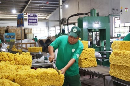 Đưa thương mại quốc tế thành động lực tăng trưởng bền vững Đưa thương mại quốc tế thành động lực tăng trưởng bền vững
