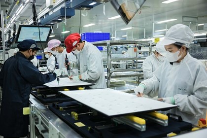 Lý do Việt Nam thu hút doanh nghiệp toàn cầu mở rộng chiến lược