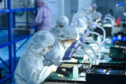 Công nghệ thông minh thúc đẩy nuôi trồng thủy sản bền vững