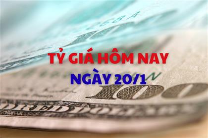Tỷ giá hôm nay 20/1: Giá USD và NDT biến động ngược chiều