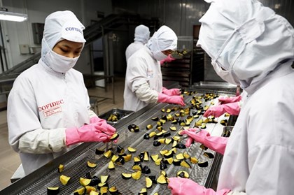 Phát triển kinh tế tư nhân - Bài cuối: Rút ngắn khoảng cách chính sách và thực tế