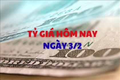 Tỷ giá hôm nay 3/2: Đồng USD và NDT đảo chiều tăng giá