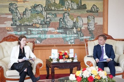 Sở Giao dịch Chứng khoán Việt Nam làm việc với FTSE Russell về lộ trình nâng hạng