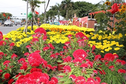 Xuân về trên từng con phố Đồng Tháp