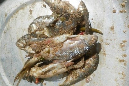 Liên tiếp xảy ra các vụ ngộ độc thực phẩm, Bộ Y tế yêu cầu xử lý nghiêm