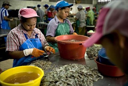 Thái Lan gia hạn giấy phép cho lao động Lào, Myanmar và Việt Nam