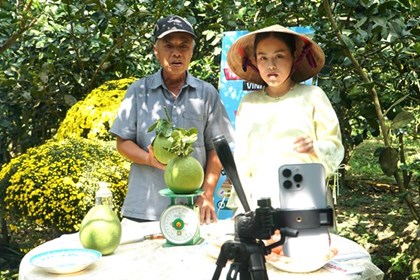 Bán nông sản online, Vĩnh Long mở thêm cửa thị trường