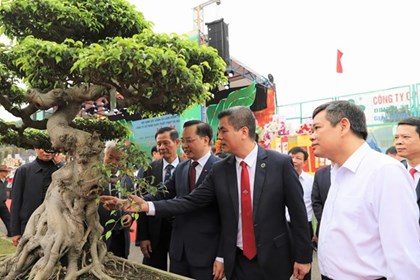 Khai mạc Lễ hội Hoa - Sinh vật cảnh Supe Lâm Thao lần thứ 2 Xuân Bính Ngọ 2026