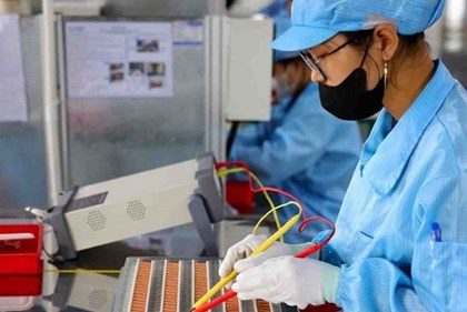 Phát triển thị trường lao động gắn với chuyển đổi số