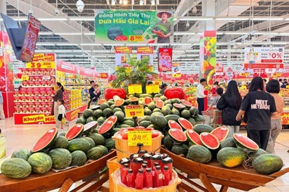 Central Retail Việt Nam bán dưa hấu không lợi nhuận hỗ trợ nông dân tỉnh Gia Lai