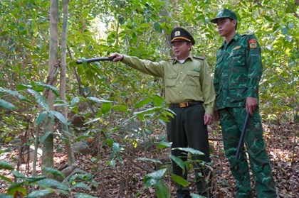 Giữ rừng Hòn Khoai: Bảo vệ tài nguyên, sinh kế bền vững