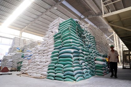 Xuất khẩu gạo của Việt Nam sang Senegal tăng gần 30 lần