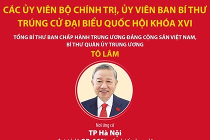 Các Ủy viên Bộ Chính trị, Ủy viên Ban Bí thư trúng cử đại biểu Quốc hội khóa XVI