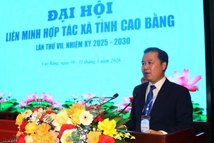 Xây dựng sản phẩm của các hợp tác xã đạt tiêu chuẩn đủ điều kiện xuất khẩu